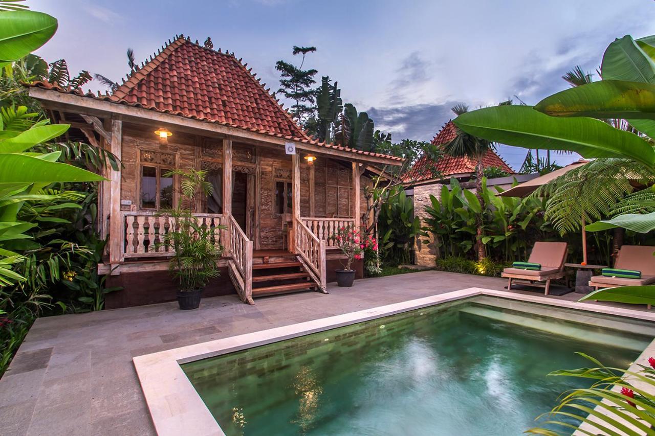 Aswanaya Villas Ubud Zewnętrze zdjęcie