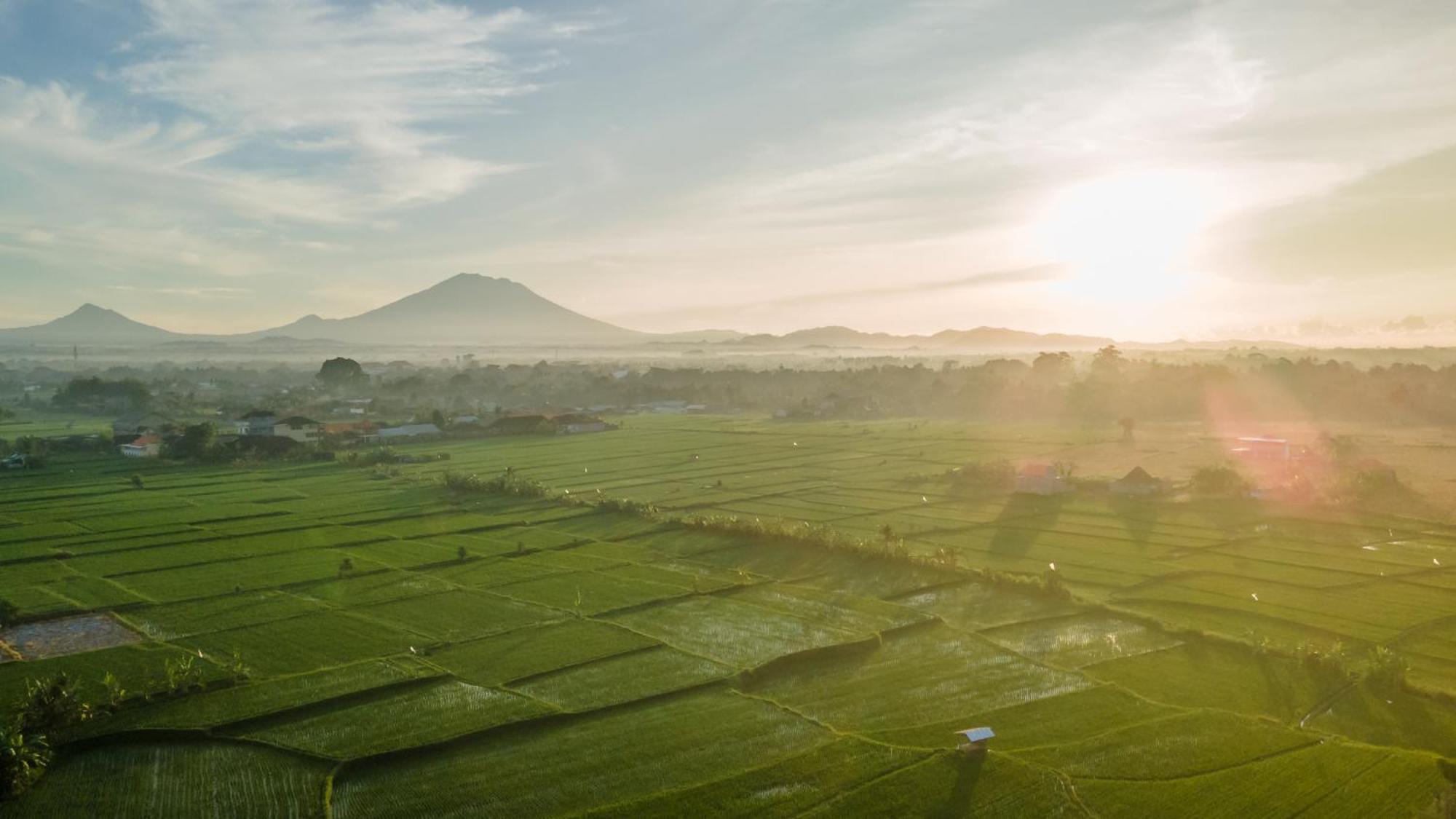 Aswanaya Villas Ubud Zewnętrze zdjęcie