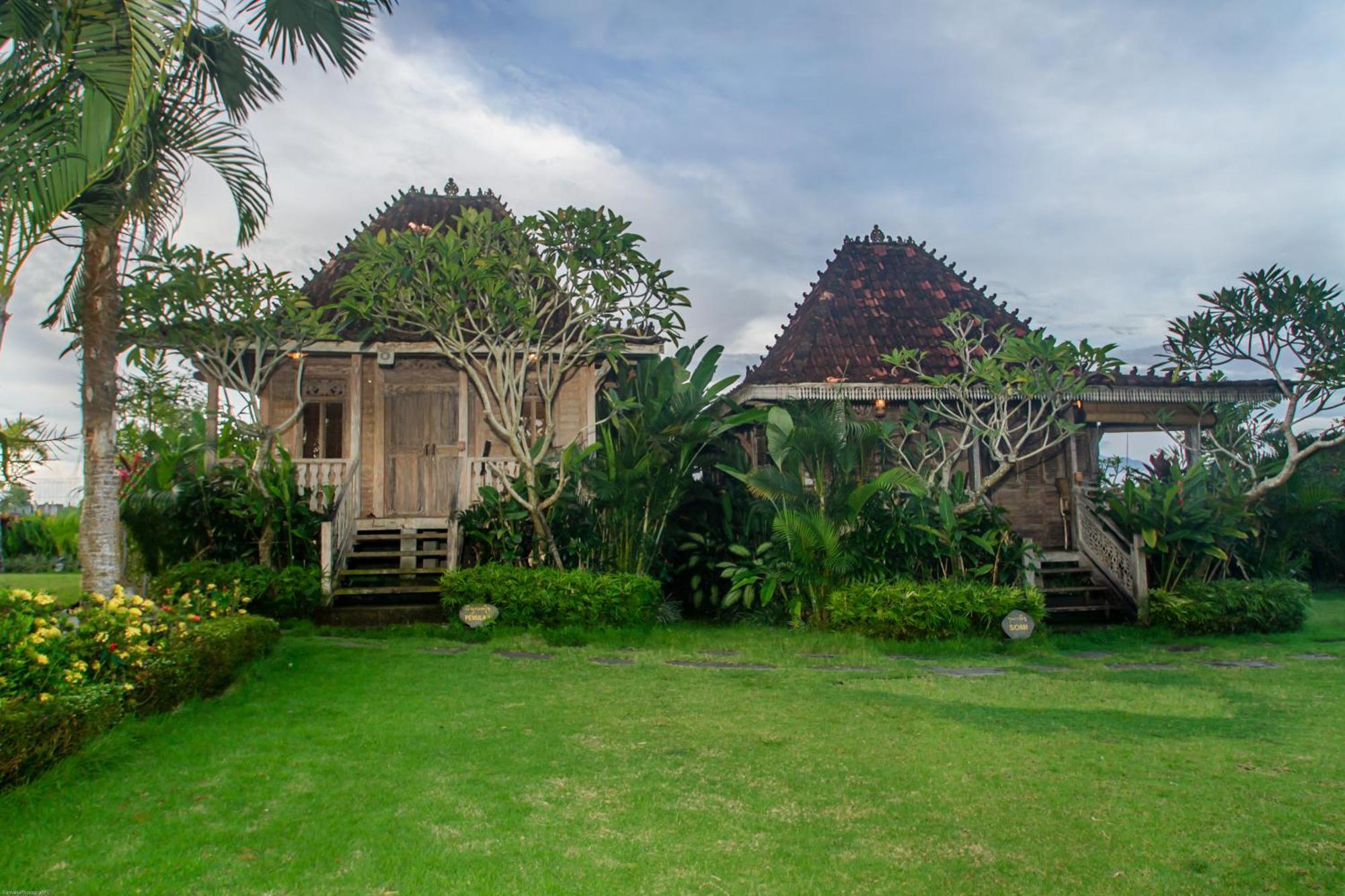 Aswanaya Villas Ubud Zewnętrze zdjęcie