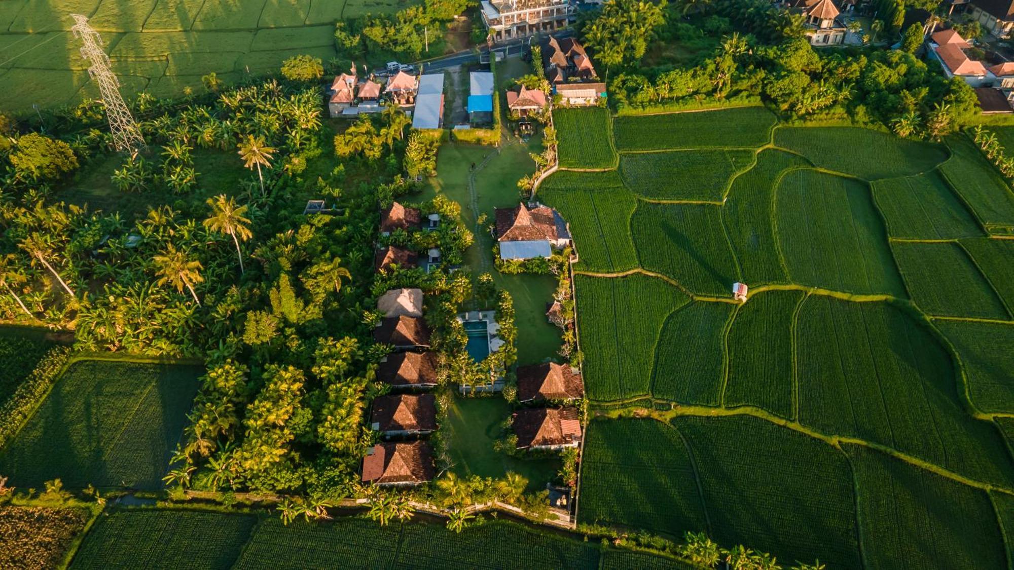Aswanaya Villas Ubud Zewnętrze zdjęcie