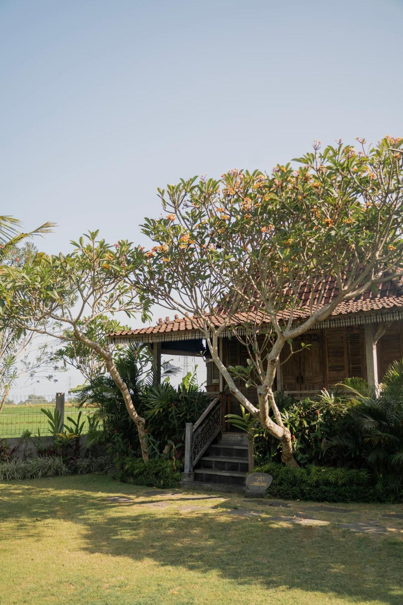 Aswanaya Villas Ubud Zewnętrze zdjęcie