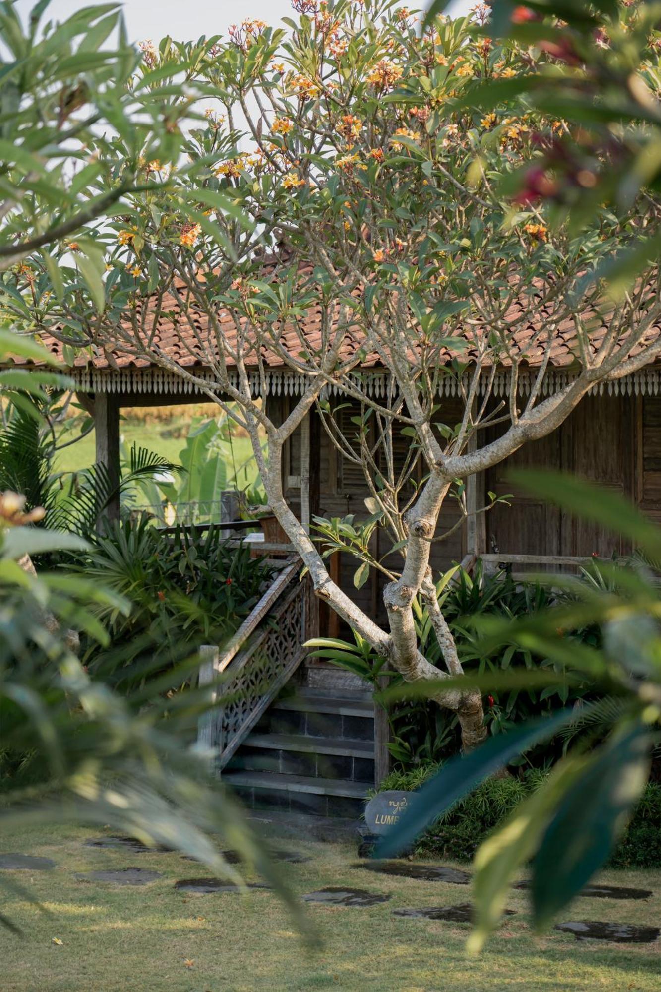 Aswanaya Villas Ubud Zewnętrze zdjęcie