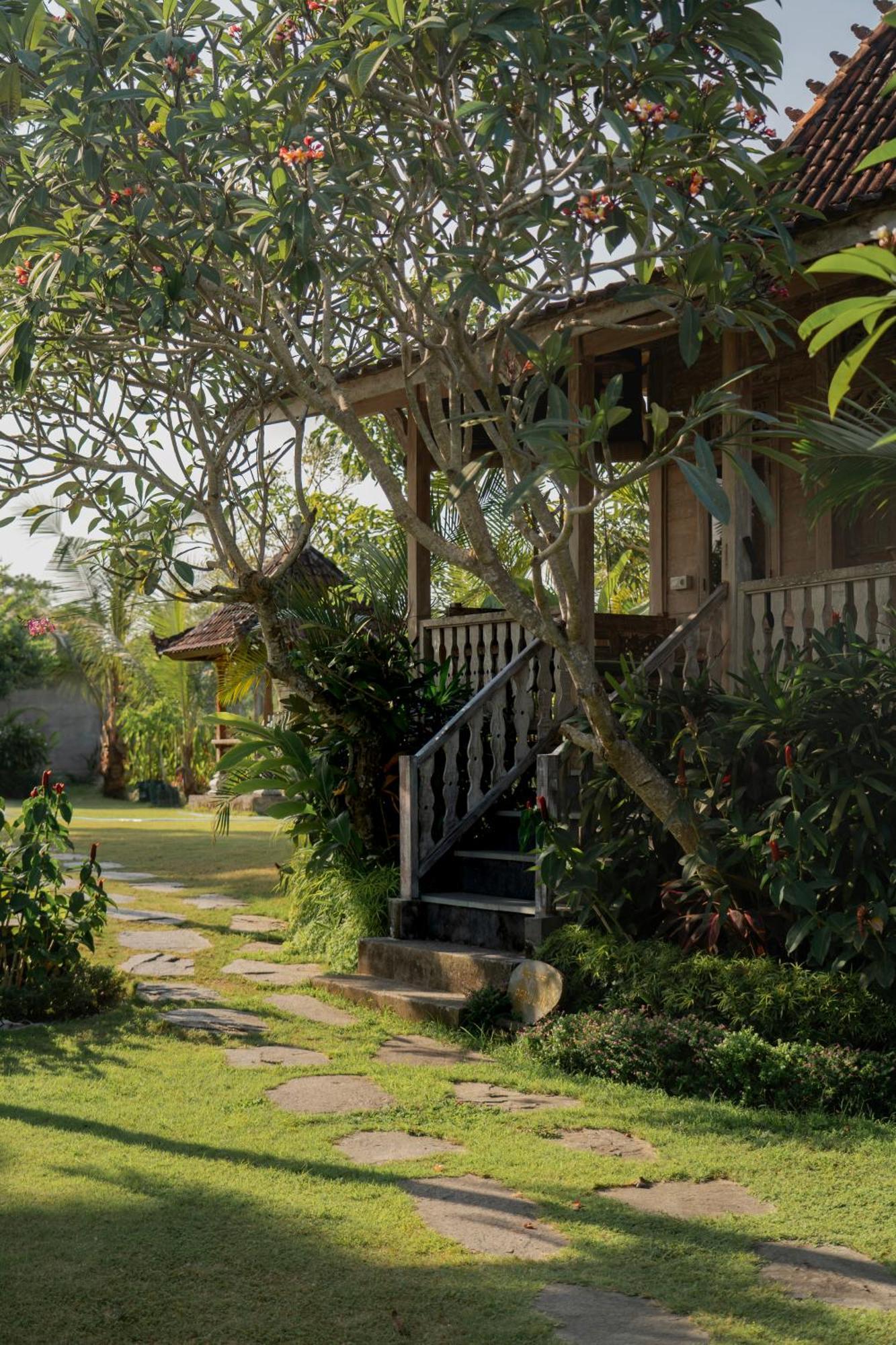 Aswanaya Villas Ubud Zewnętrze zdjęcie